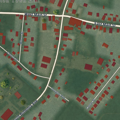Close-up of the map of Cecilton, Maryland print showing street and building detail