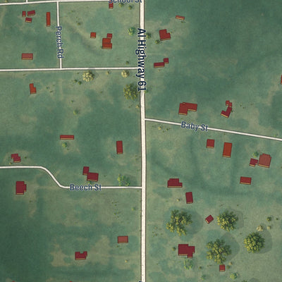 Close-up of the map of Newbern, Alabama print showing street and building detail