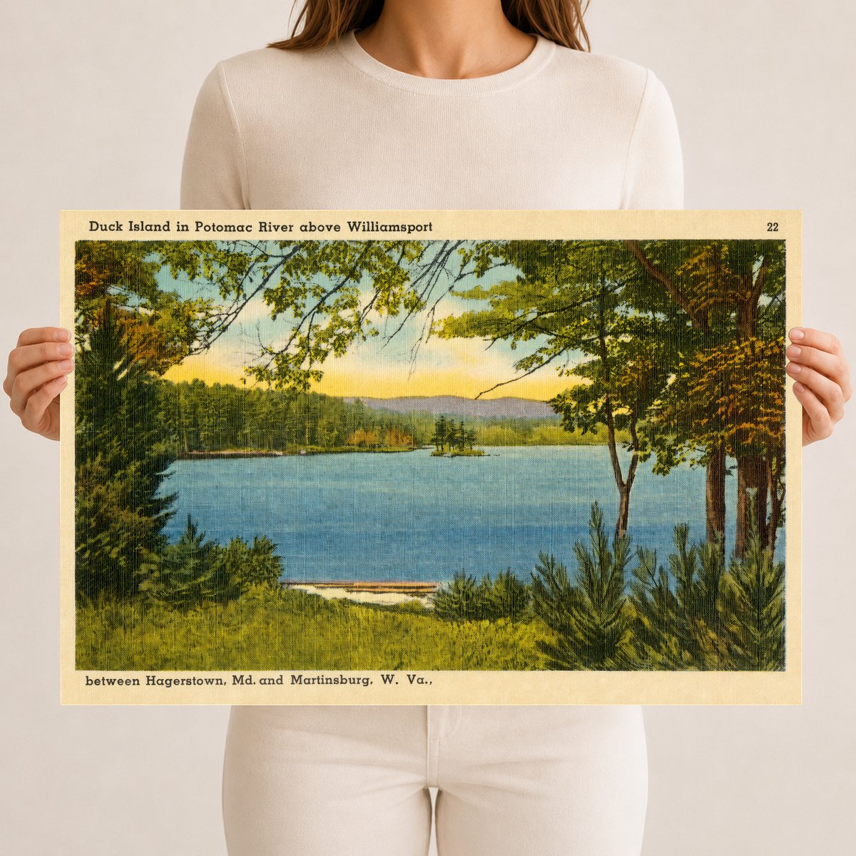 Duck Island in Potomac River above Williamsport between Hagerstown, MD And Martinsburg, W. Va. — Vintage Maryland Postcard