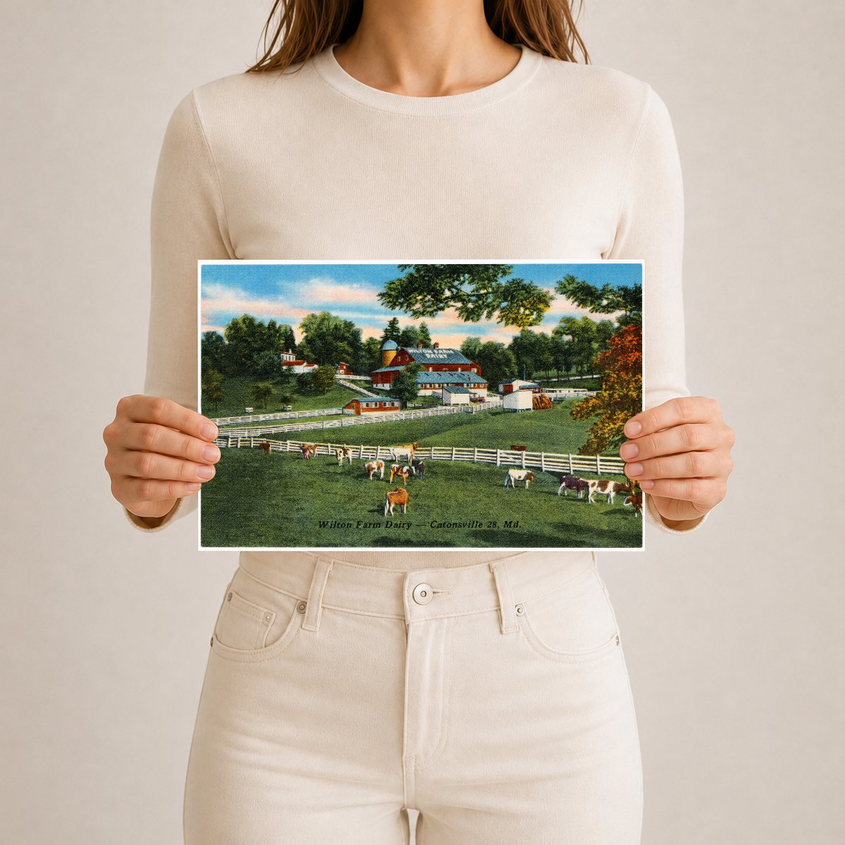 Wilton Farm Dairy -- Catonsville 28, MD — Vintage Maryland Postcard