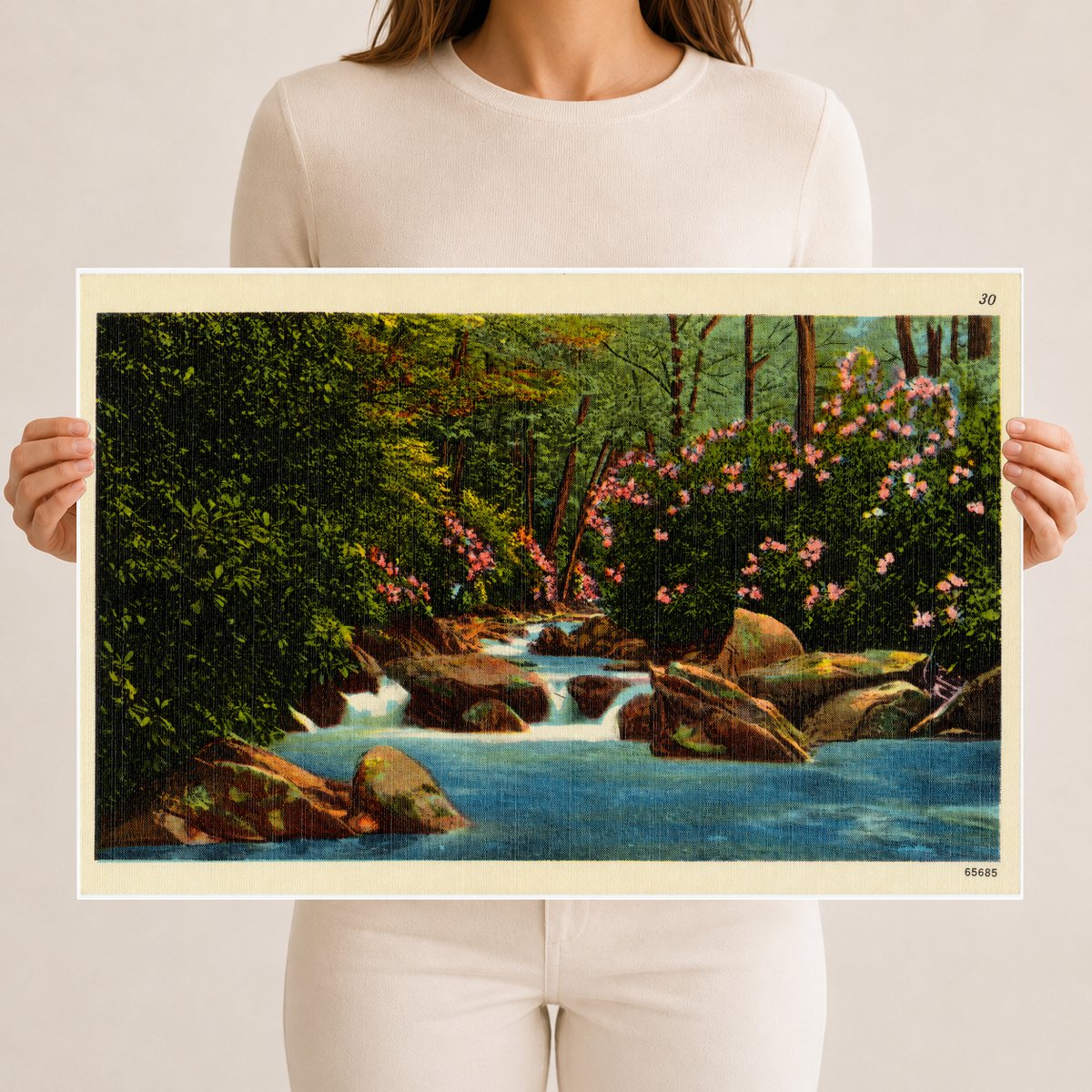 A mountain trout stream near Hagerstown, MD — Vintage Maryland Postcard