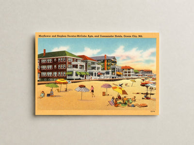 Mayflower and Stephen Decatur-McCabe Apts. and Commander Hotels, Ocean City, MD — Vintage Maryland Postcard