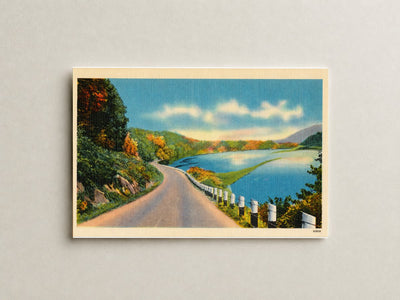 Road overlooking waterway — Vintage Maryland Postcard