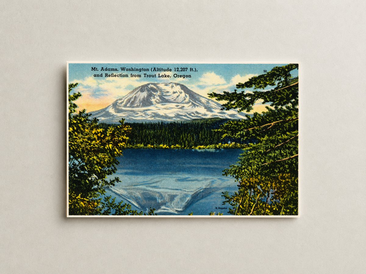Adams, Mount, OR: Mt. Adams, Washington (Altitude 12,207 ft.), and reflection from Trout Lake