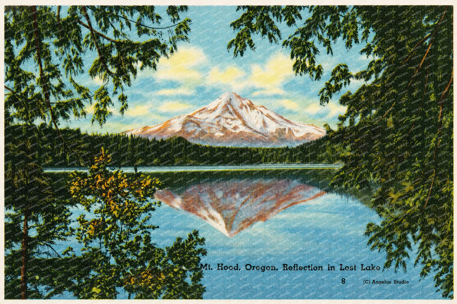 Hood, Mount, OR: Mt. Hood, Oregon, reflection in Lost Lake