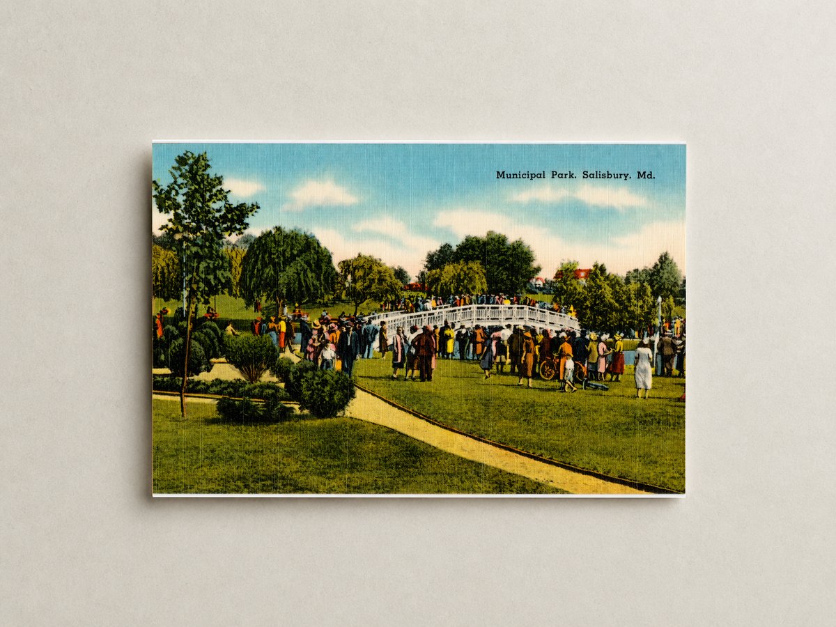Municipal Park, Salisbury, MD — Vintage Maryland Postcard