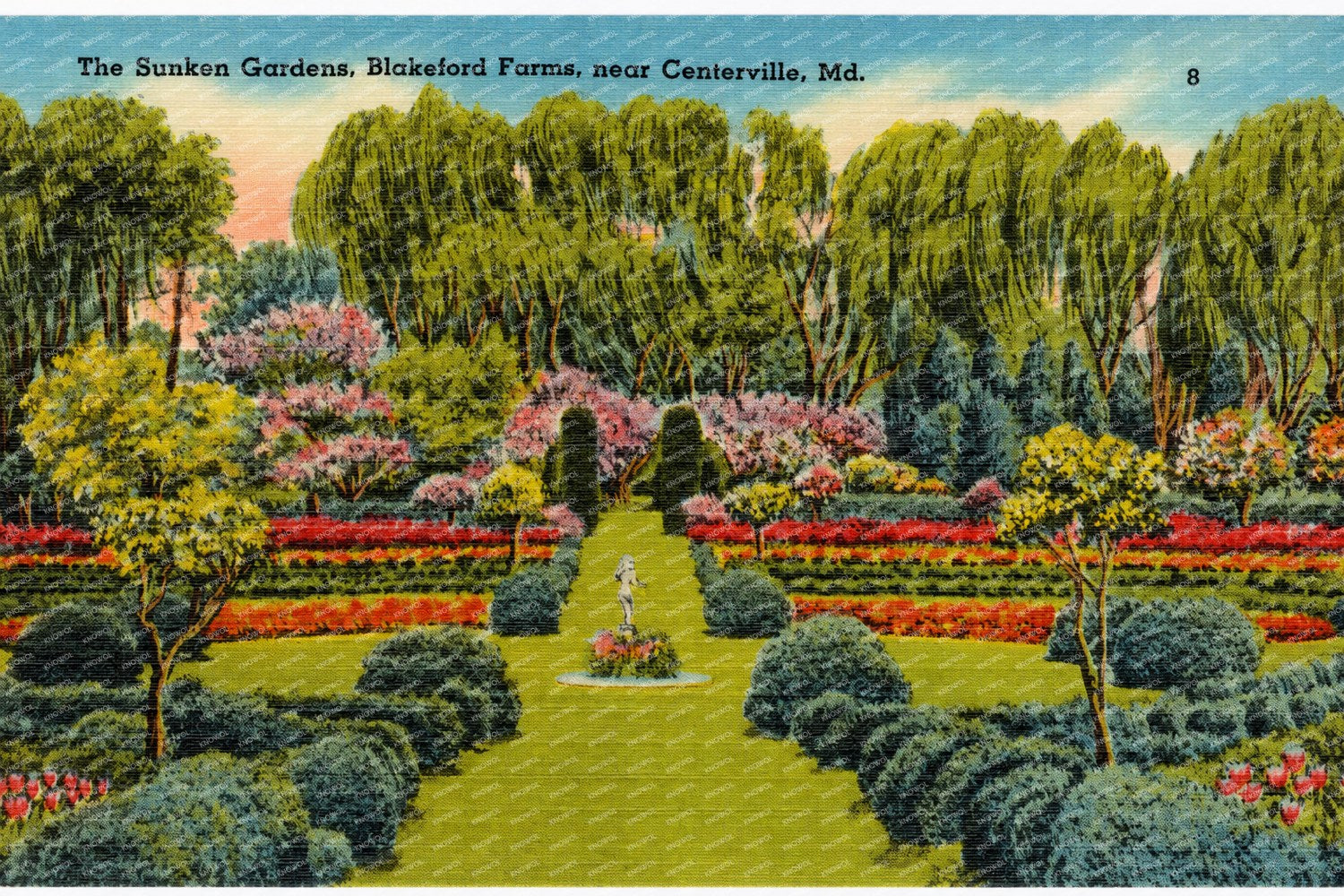 The Sunken Gardens, Blakeford Farms, near Centerville, MD — Vintage Maryland Postcard