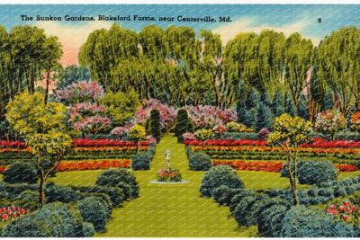 The Sunken Gardens, Blakeford Farms, near Centerville, MD — Vintage Maryland Postcard