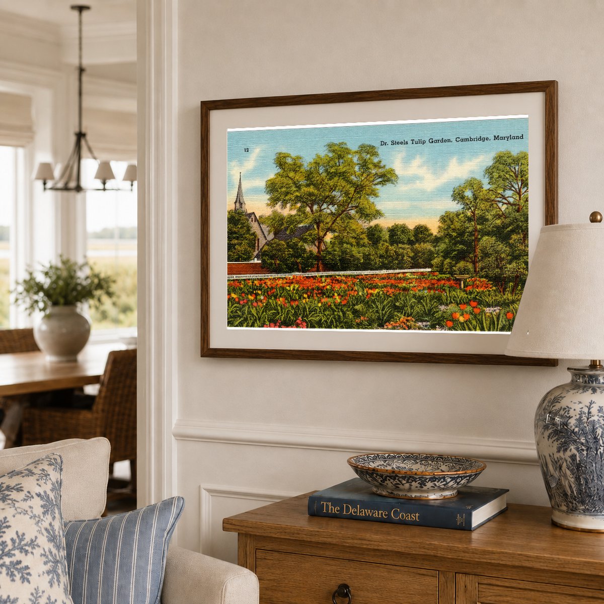 Dr. Steels Tulip Garden, Cambridge, Maryland — Vintage Maryland Postcard
