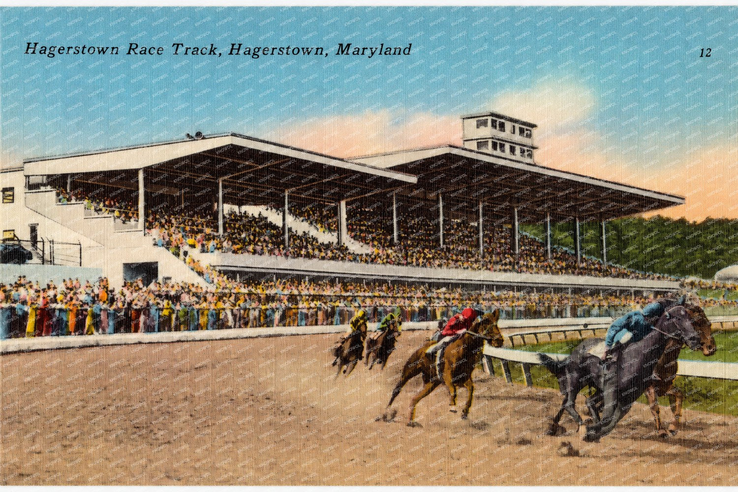 Hagerstown Race Track, Hagerstown, Maryland — Vintage Maryland Postcard