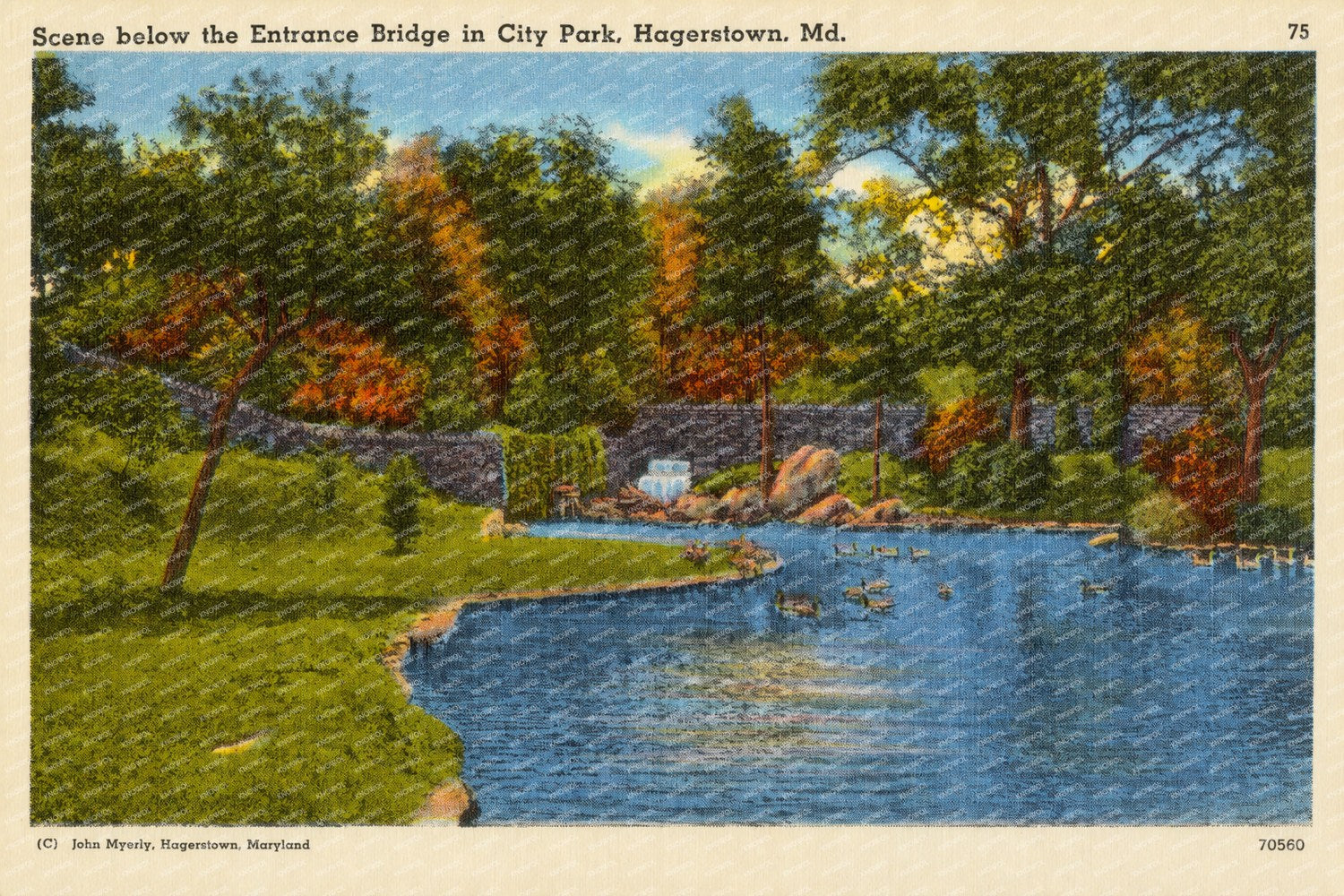 Scene below the Entrance Bridge in City Park, Hagerstown, MD — Vintage Maryland Postcard