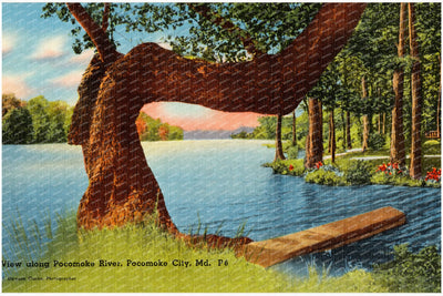View along Pocomoke River, Pocomoke City, MD — Vintage Maryland Postcard