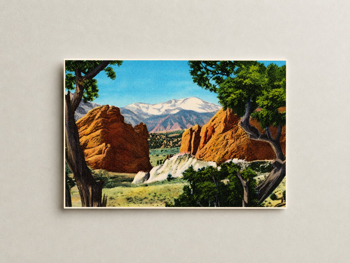 Pikes Peak, CO: Pikes Peak  (alt. 14,110 ft.) and the Gateway to the Garden of the Gods, framed by the old cedar trees, Pikes Peak Region