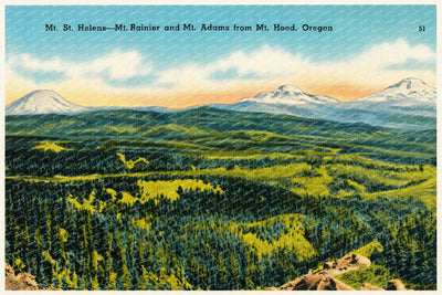 Adams, Mount, OR: Mt. St. Helens -- Mt. Rainier and Mt. Adams from Mt. Hood