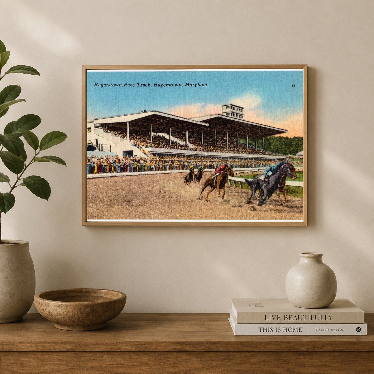Hagerstown Race Track, Hagerstown, Maryland — Vintage Maryland Postcard