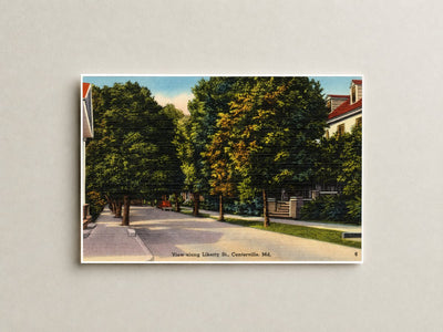View along Liberty St., Centerville, MD — Vintage Maryland Postcard