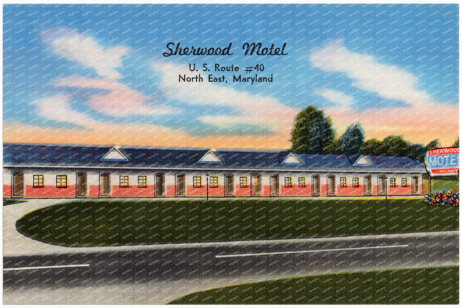 Sherwood Motel, U. S. Route #40, North East, Maryland — Vintage Maryland Postcard