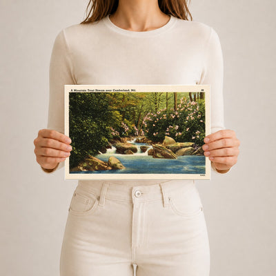 A mountain trout stream near Cumberland, MD — Vintage Maryland Postcard
