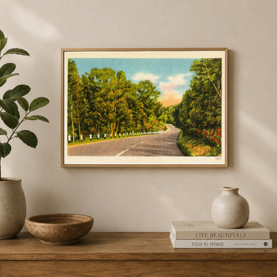 Winding road — Vintage Maryland Postcard