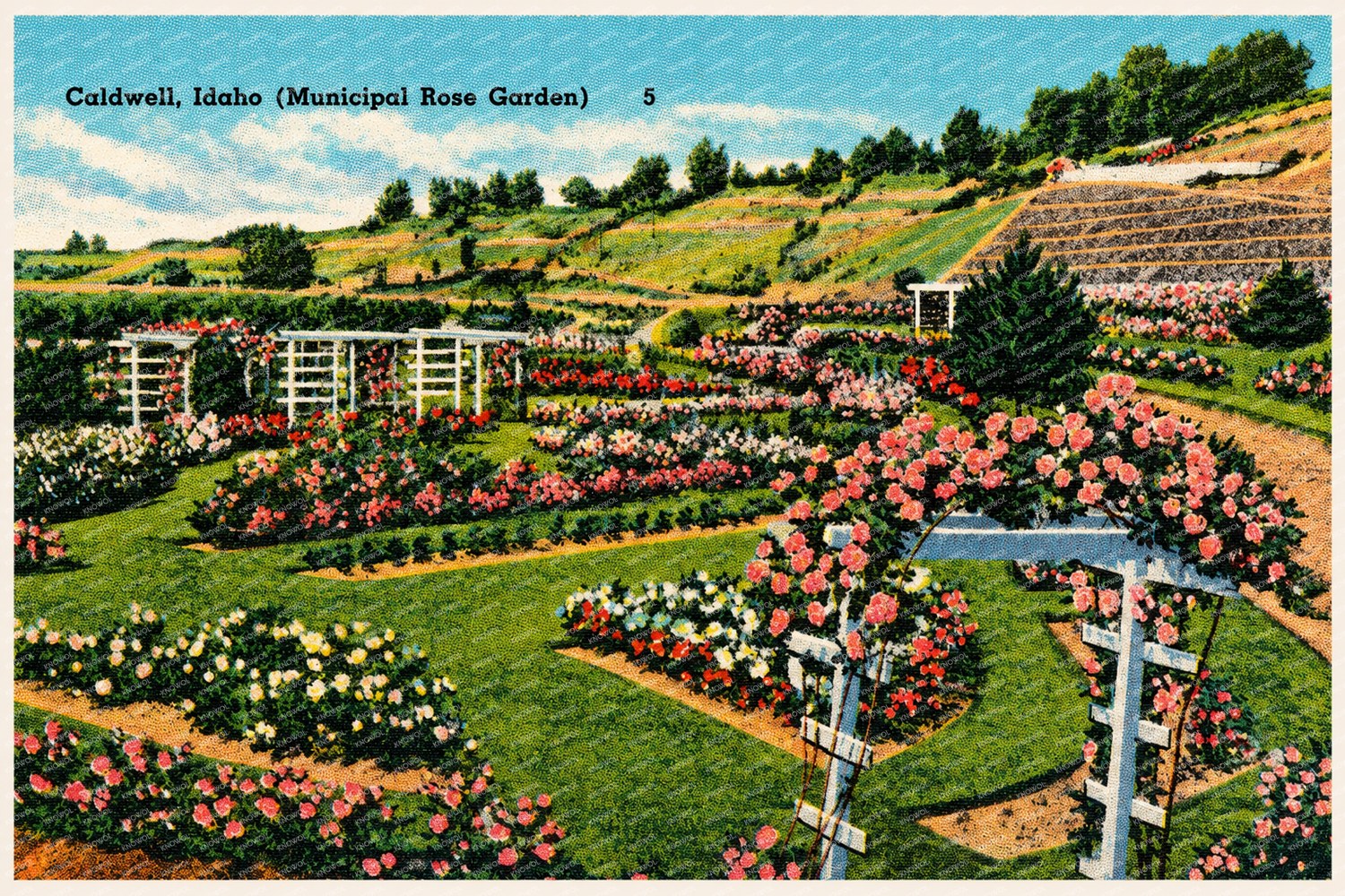 Caldwell, ID: Caldwell, Idaho (Municipal Rose Garden)