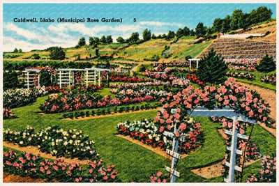 Caldwell, ID: Caldwell, Idaho (Municipal Rose Garden)