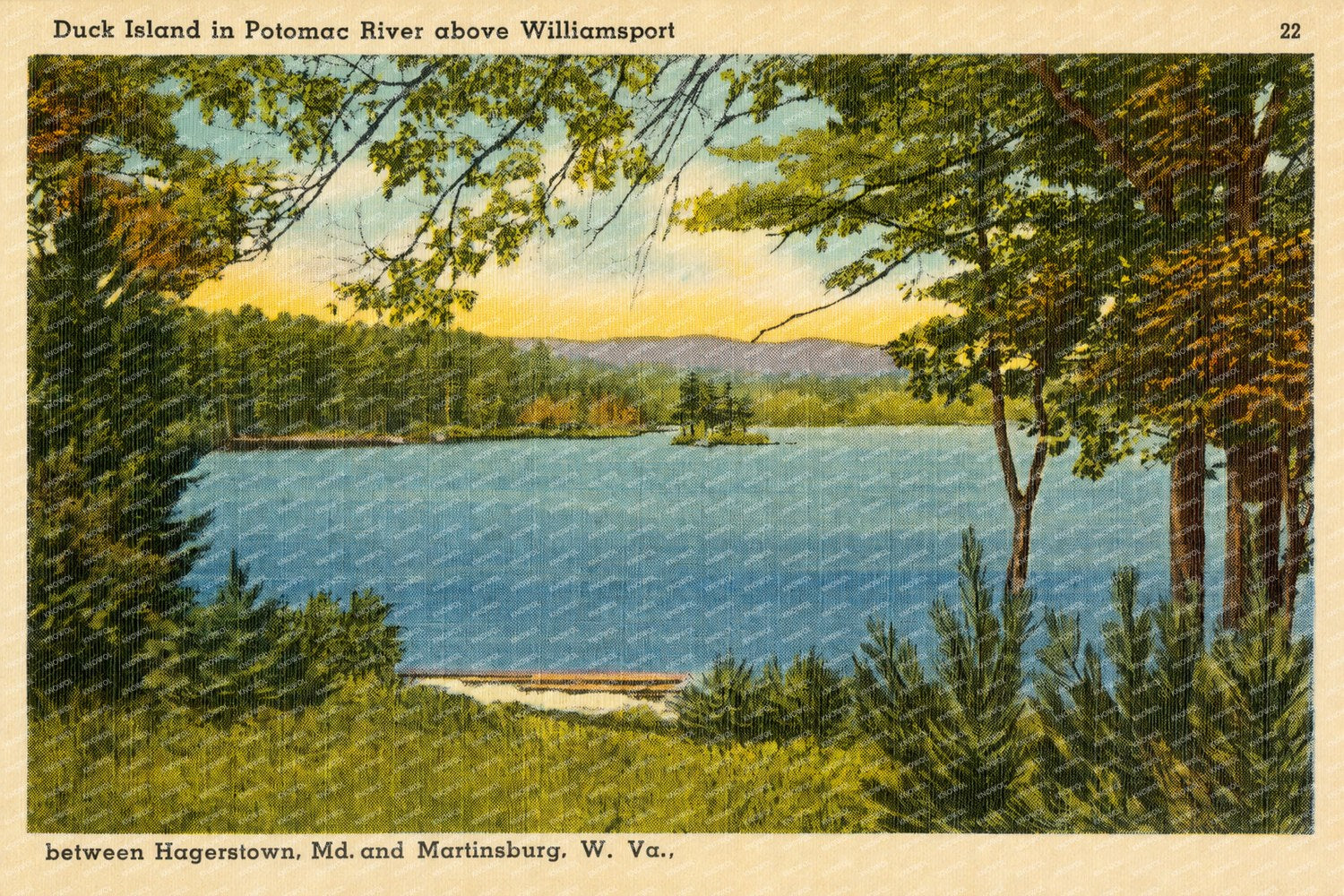 Duck Island in Potomac River above Williamsport between Hagerstown, MD And Martinsburg, W. Va. — Vintage Maryland Postcard