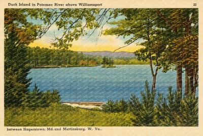 Duck Island in Potomac River above Williamsport between Hagerstown, MD And Martinsburg, W. Va. — Vintage Maryland Postcard