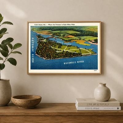 Cobb Island, MD -- where the Potomac is eight miles wide — Vintage Maryland Postcard