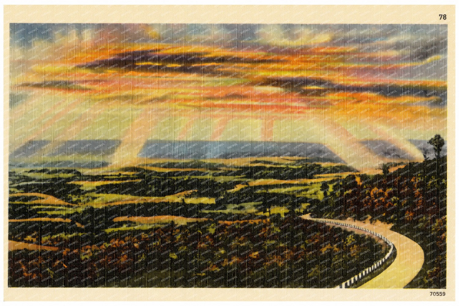 Sunset over road winding through nature. — Vintage Maryland Postcard