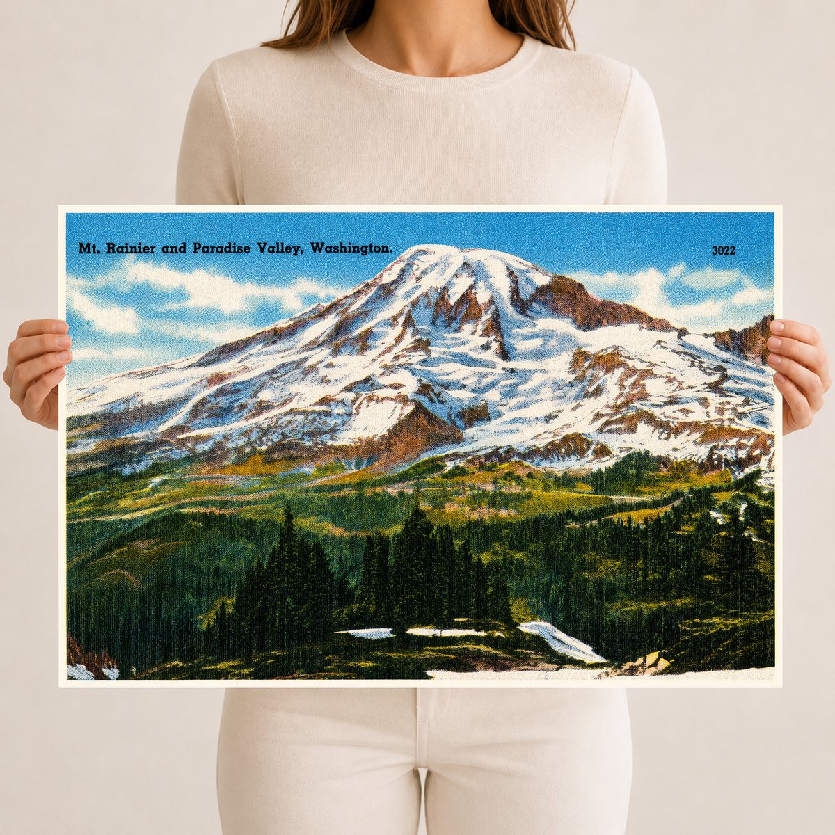 Paradise Valley, WA: Mt. Rainier and Paradise Valley