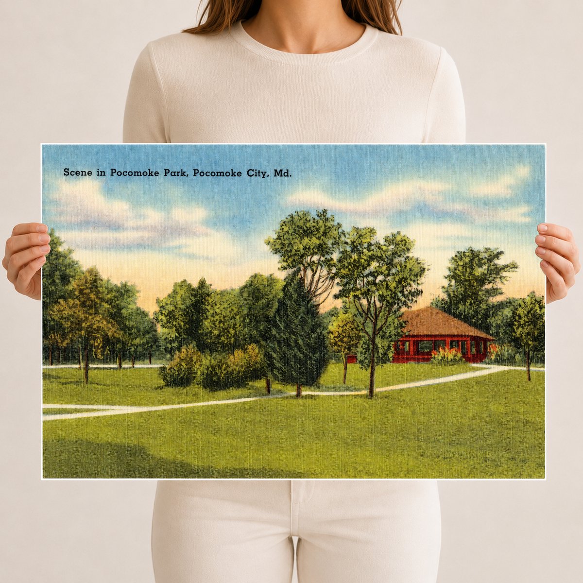 Scene in Pocomoke Park, Pocomoke City, MD — Vintage Maryland Postcard