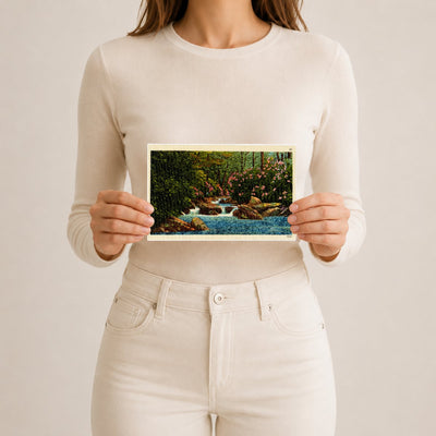 A mountain trout stream near Hagerstown, MD — Vintage Maryland Postcard