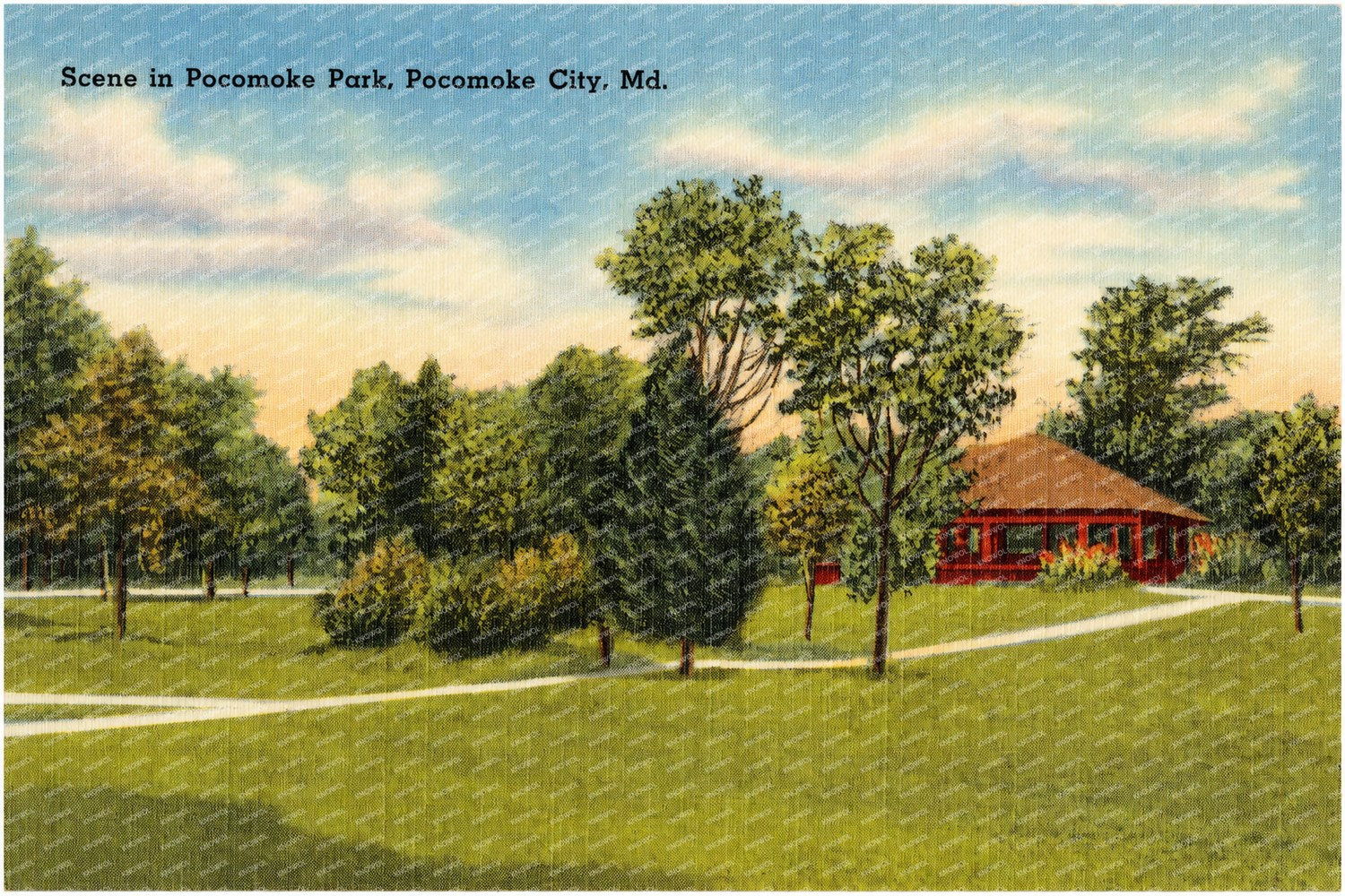 Scene in Pocomoke Park, Pocomoke City, MD — Vintage Maryland Postcard