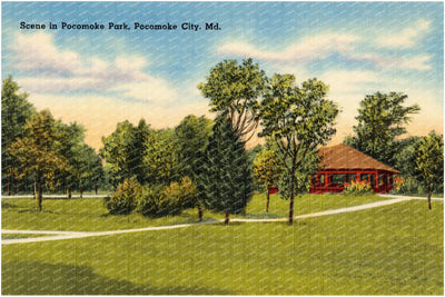 Scene in Pocomoke Park, Pocomoke City, MD — Vintage Maryland Postcard