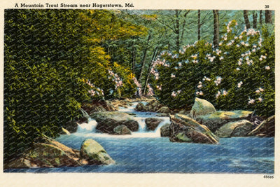 A mountain trout stream near Hagerstown, MD — Vintage Maryland Postcard