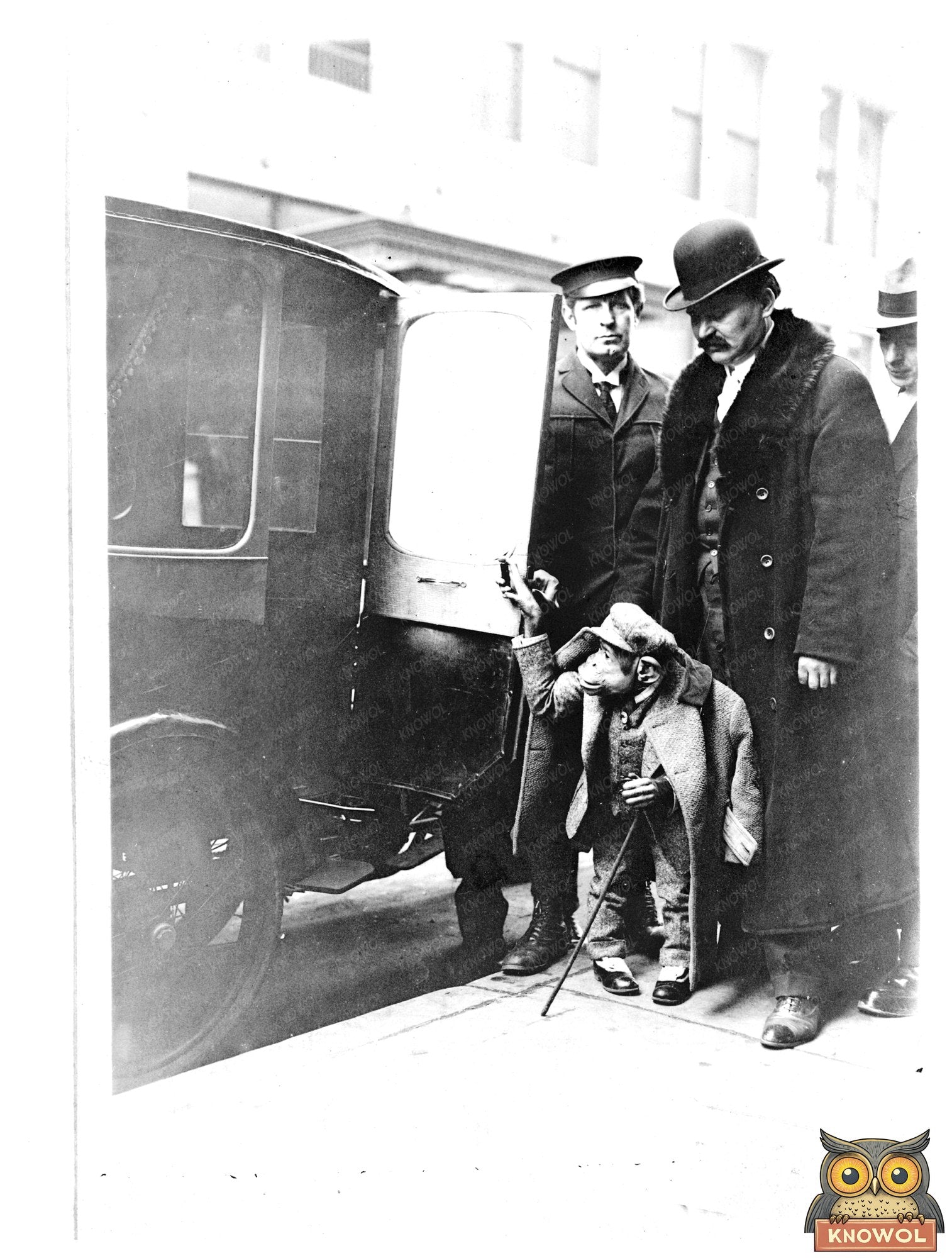 Dapper Chimpanzee by Vintage Car at Hippodrome