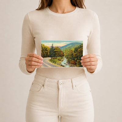 Road paralleling stream — Vintage Maryland Postcard