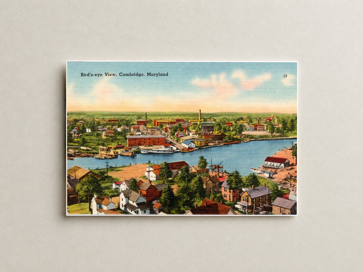 Bird's-eye view, Cambridge, Maryland — Vintage Maryland Postcard