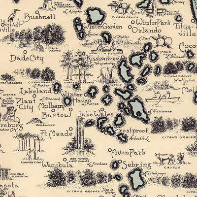 Pictorial Map of Florida (1953)