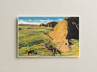 Little Badlands, ND: Trailing range cattle, submarginal area, N. Dak. Badlands