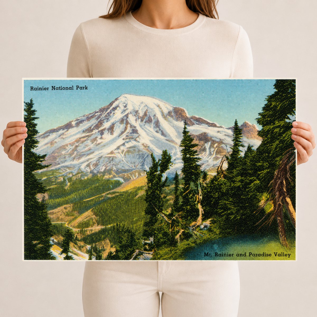 Mount Rainier National Park, WA: Rainier National Park, Mt. Rainier and Paradise Valley