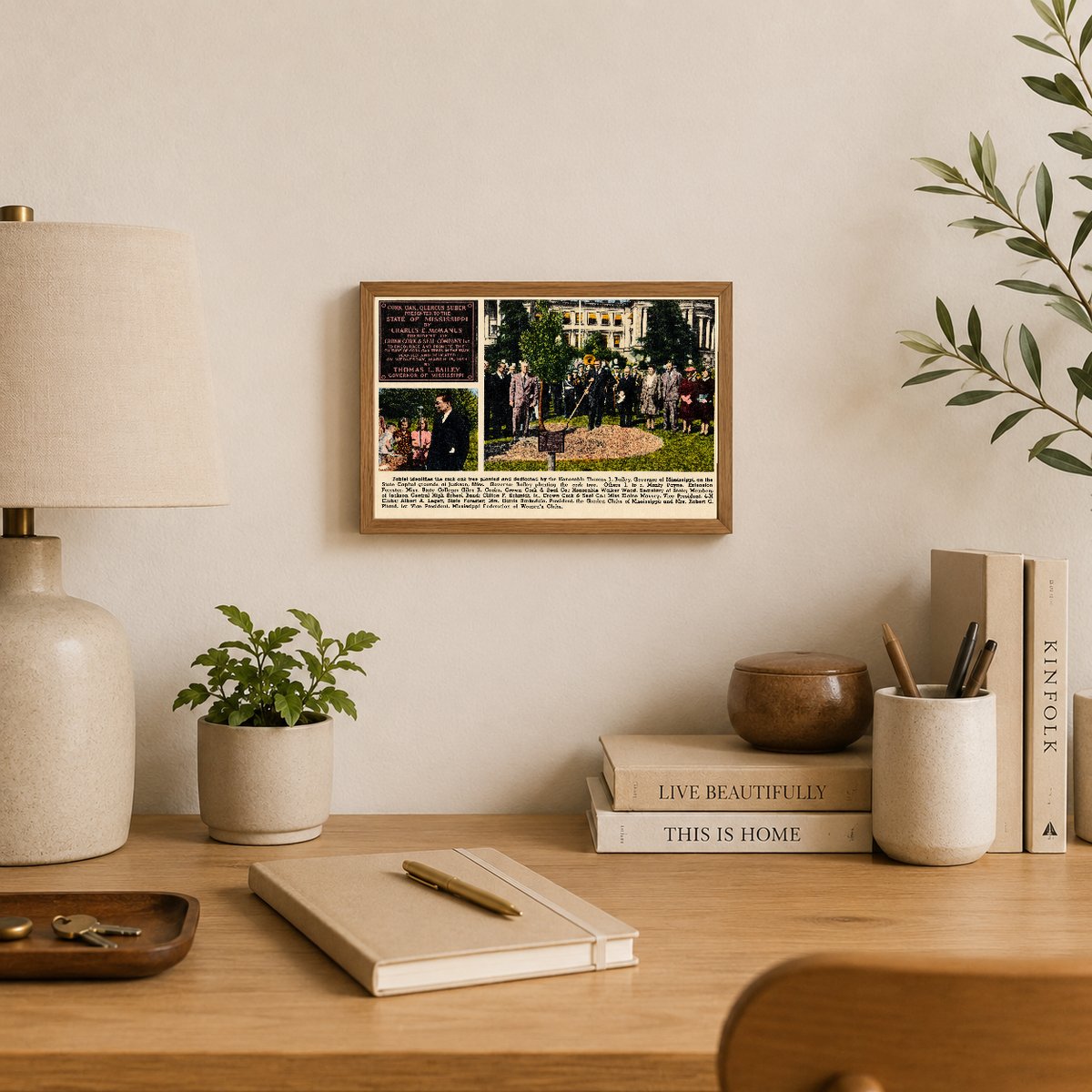 MS: Tablet identifies the cork oak tree planted and dedicated by the Honorable Thomas L. Bailey, Governor of Mississippi, on the State Capitol grounds at Jackson