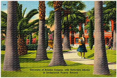Tucson, AZ: University of Arizona campus, with university library in background