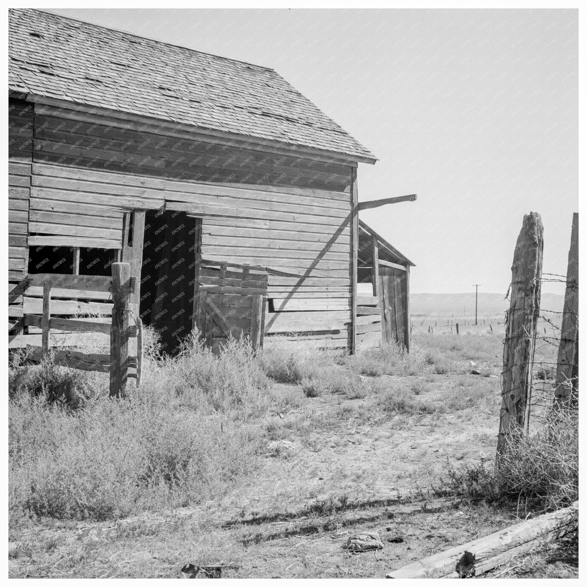 Abandoned Barn Door and Weeds Columbian Basin 1939 - Available at KNOWOL