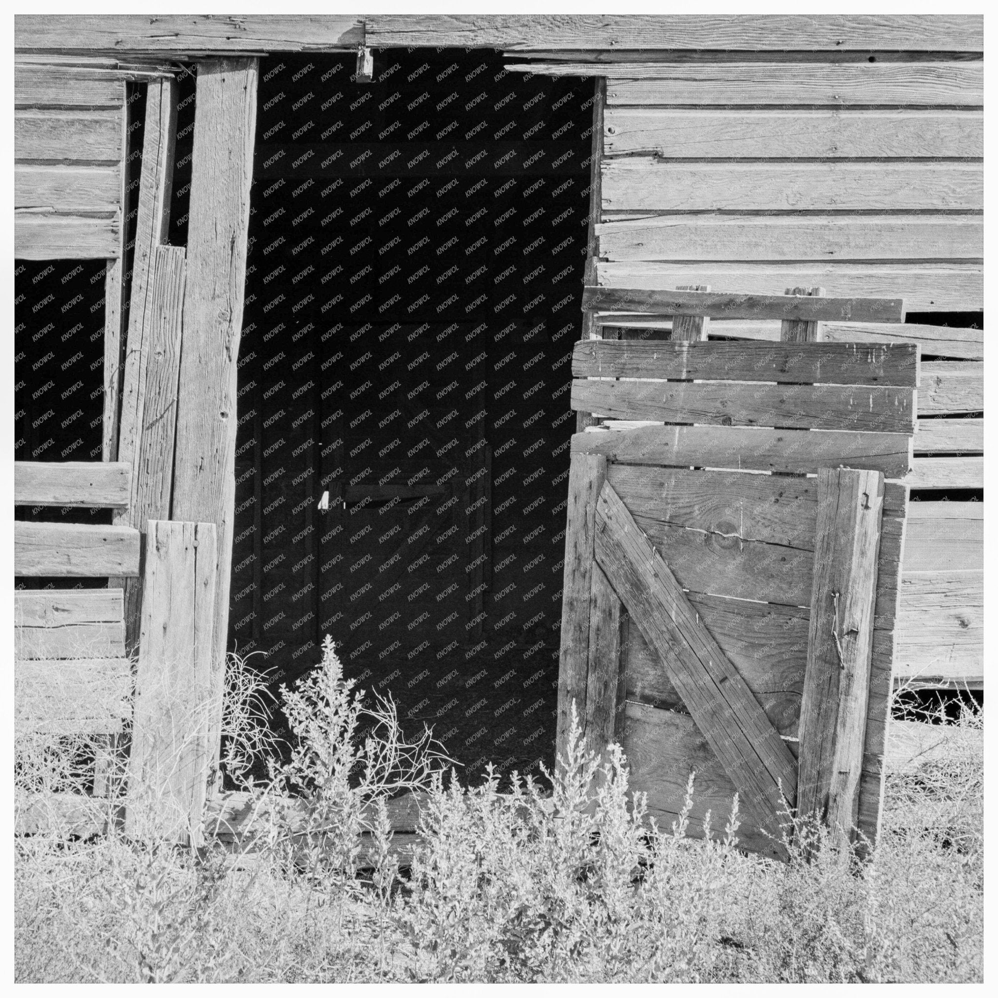 Abandoned Barn Door in Columbian Basin August 1939 - Available at KNOWOL