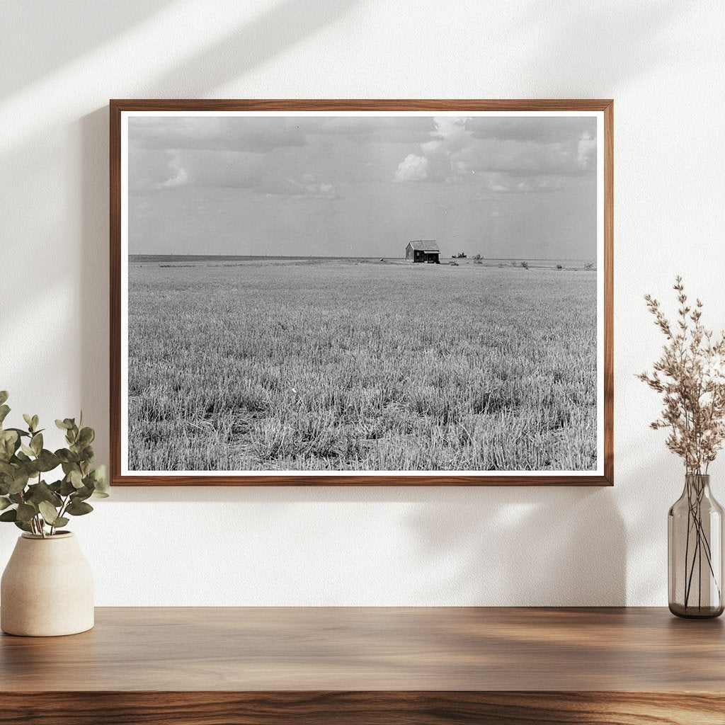 Abandoned Farm Home in Wheat Field Gould Oklahoma 1938 - Available at KNOWOL