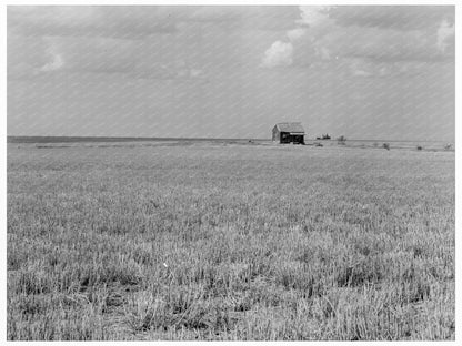 Abandoned Farm Home in Wheat Field Gould Oklahoma 1938 - Available at KNOWOL