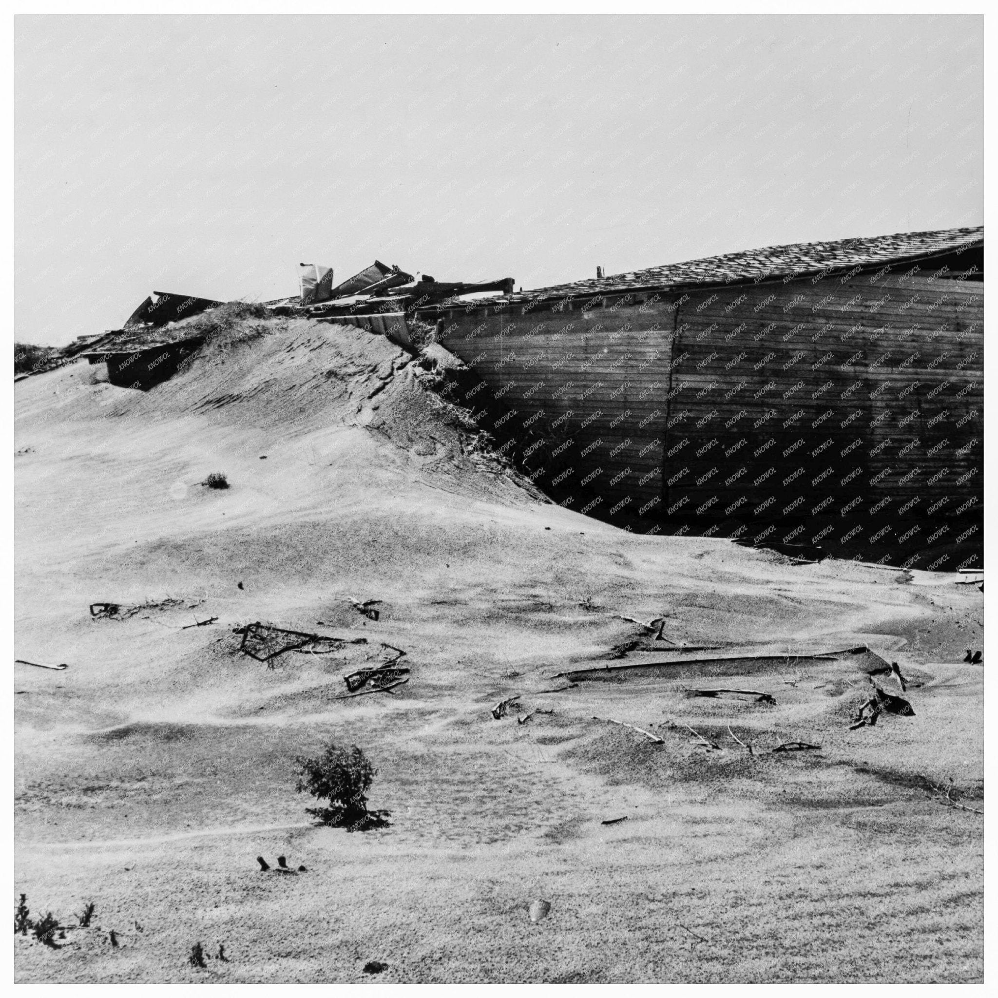 Abandoned Farm in Coldwater District Texas June 1938 - Available at KNOWOL