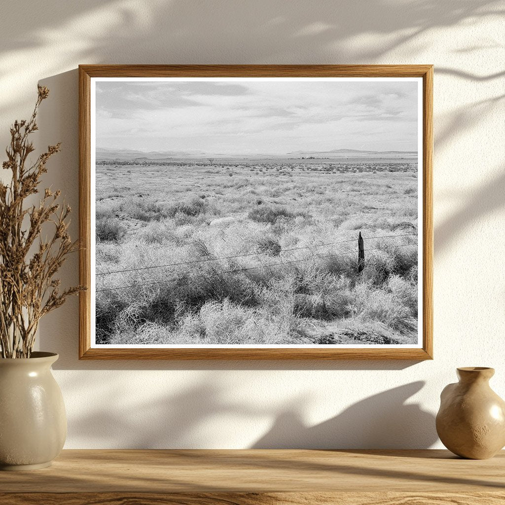 Abandoned Farmland in Grant County Washington 1939 - Available at KNOWOL