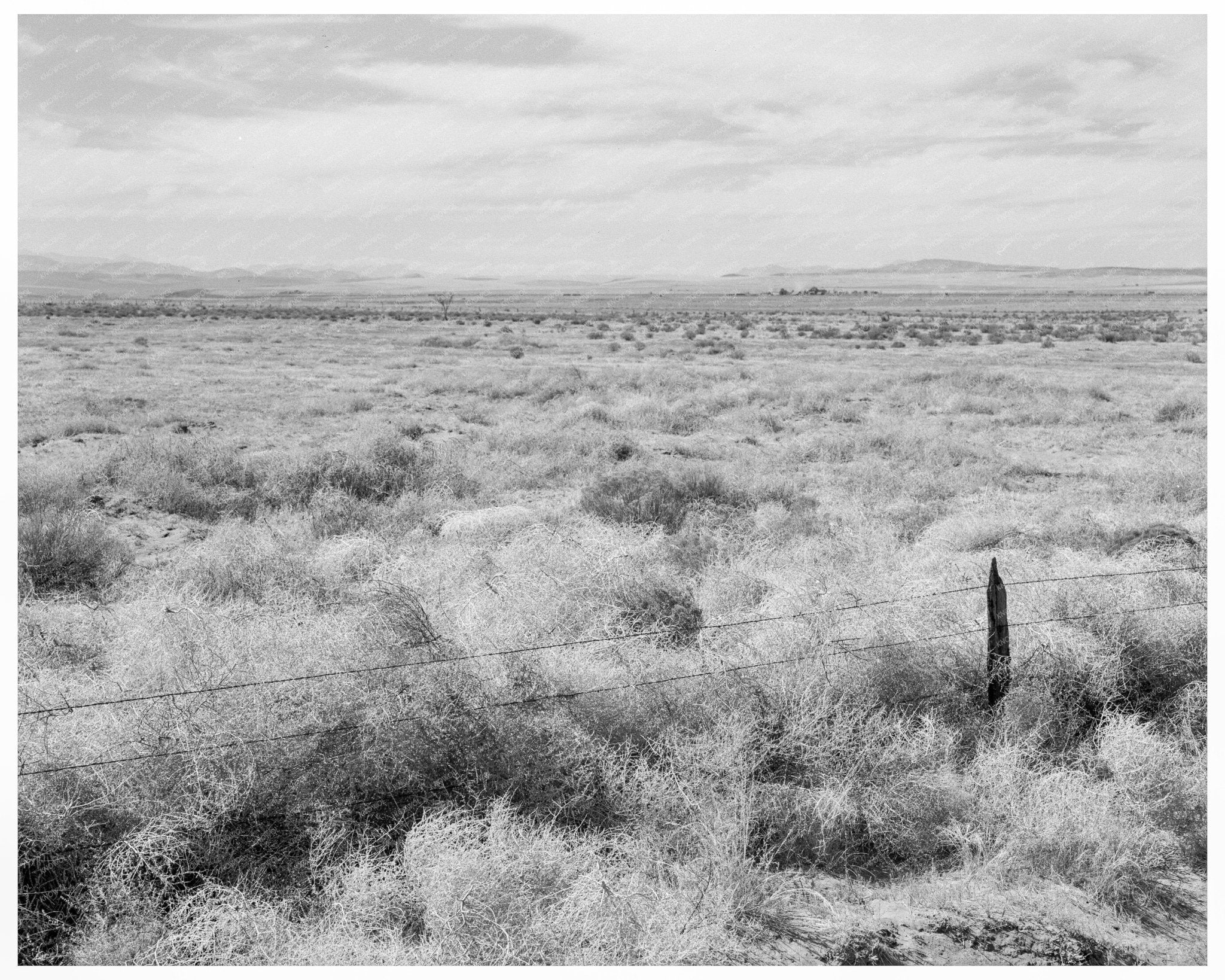 Abandoned Farmland in Grant County Washington 1939 - Available at KNOWOL